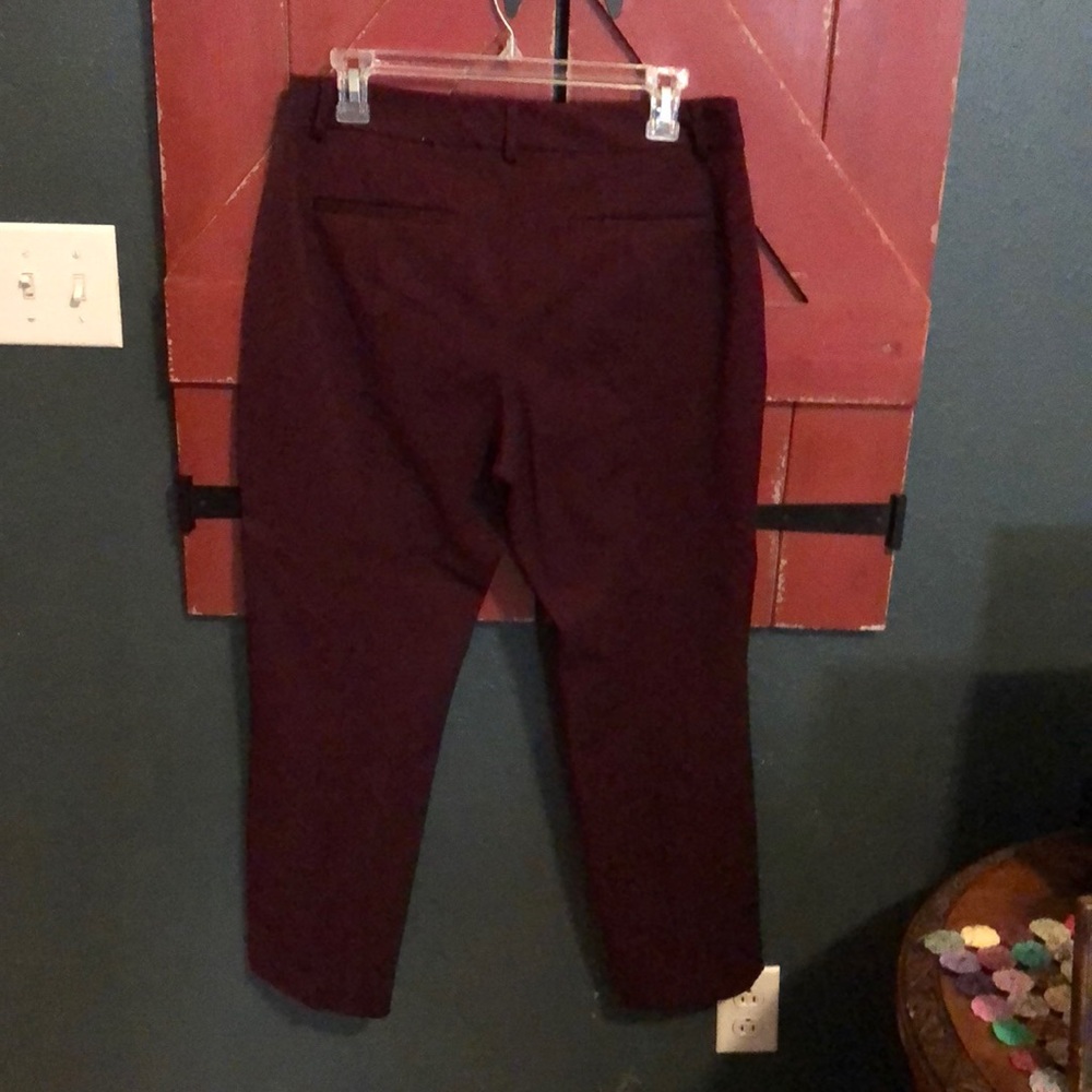 Express dress pants